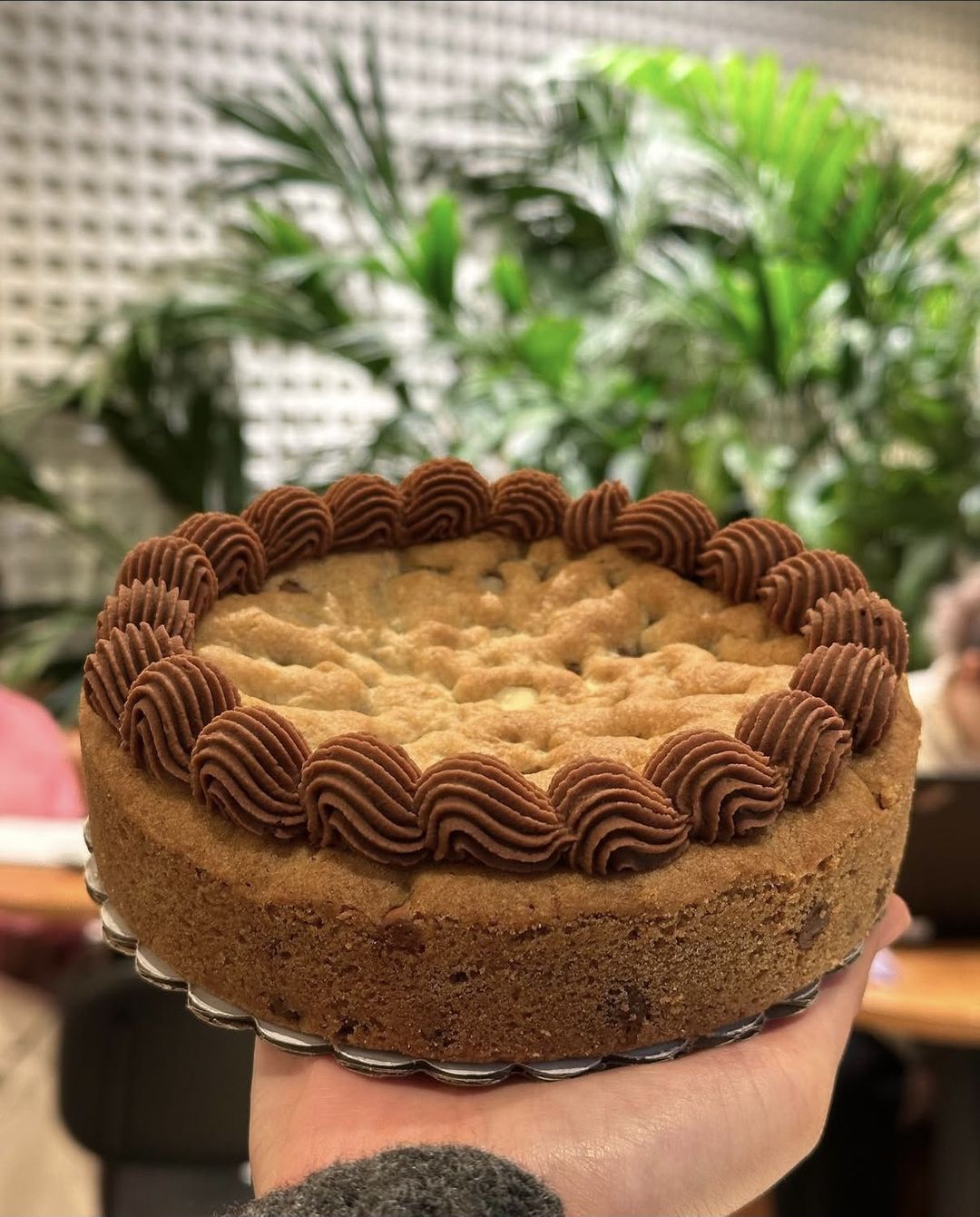 Thick chocolate chip cookie cake with a piped chocolate buttercream border